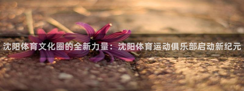 沈阳体育文化圈的全新力量：沈阳体育运动俱乐部启动新纪元