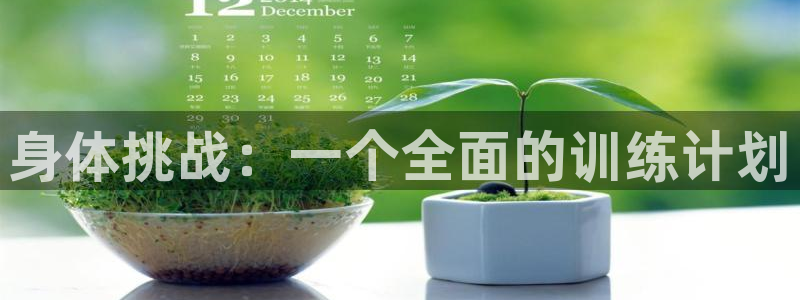 身体挑战：一个全面的训练计划