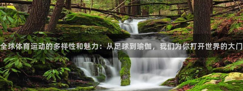 全球体育运动的多样性和魅力：从足球到瑜伽，我们为你打开世界的大门