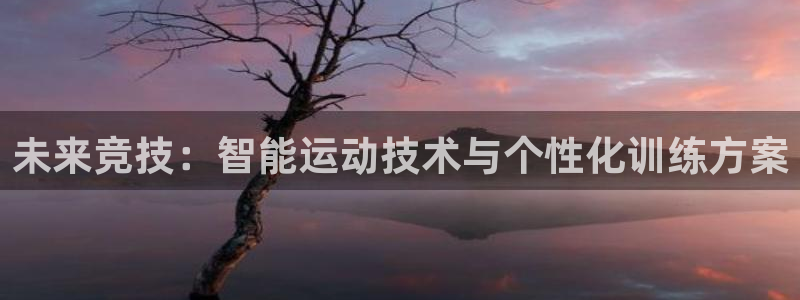 未来竞技：智能运动技术与个性化训练方案