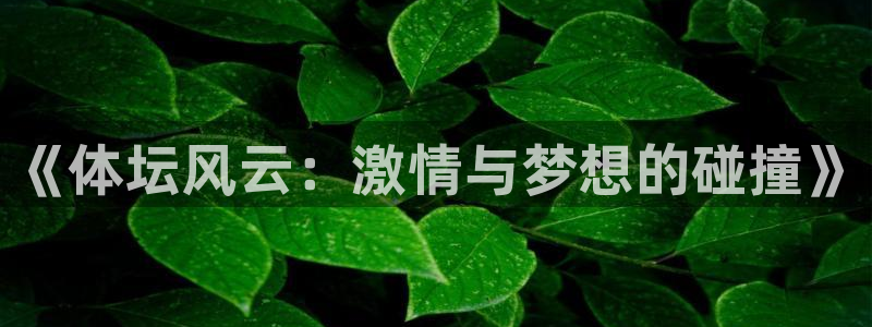 《体坛风云：激情与梦想的碰撞》