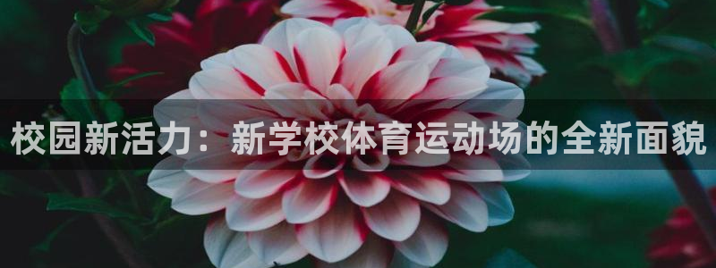 校园新活力：新学校体育运动场的全新面貌