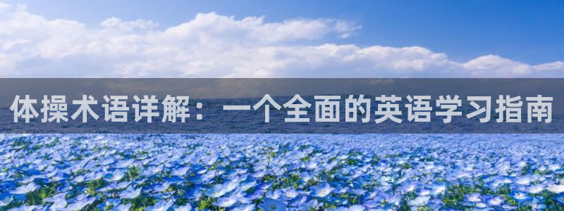 体操术语详解：一个全面的英语学习指南