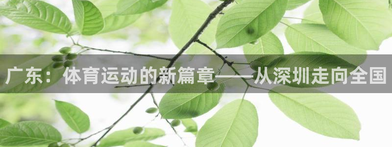 广东：体育运动的新篇章——从深圳走向全国